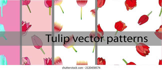 
large set of vector patterns with tulips, flowers, background