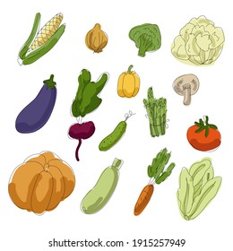 A large set of vector vegetables. Hand-drawn vegetables. Pumpkin, beetroot, cabbage, broccoli, carrot, pepper, asparagus, cucumber, tomato, onion, corn, mushroom, zucchini, eggplant.