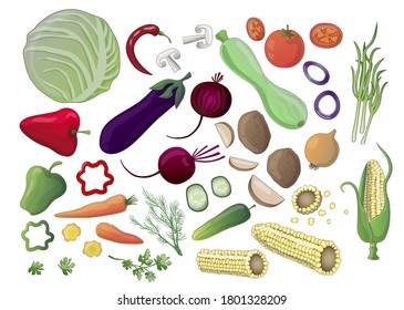 A large set of vegetables and herbs, painted - cabbage, eggplant, zucchini, carrots, onions, tomatoes, cucumbers, peppers, chili, dill, parsley, green onions, mushrooms, corn, potatoes and beets. 