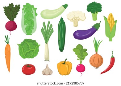 Large set of vegetables isolated on a white background. flat style