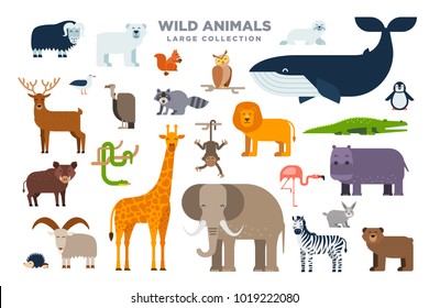 O grande conjunto de animais selvagens em design plano isolado sobre fundo branco. Elefante, leão, baleia, girafa, zebra e outros animais vetoriais ilustração plana.