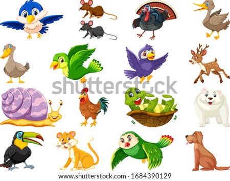 Similar – Image, Stock Photo chicken Animal Pet