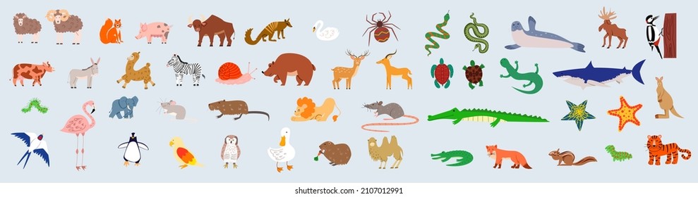 A large set of wild jungle, savanna and forest animals, birds, marine mammals, fish and insects.