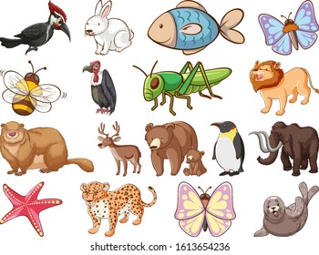 Large set of wildlife with many types of animals and insects illustration