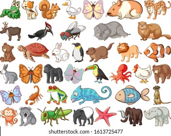 Large Set Wildlife Many Types Animals Stock Vector (Royalty Free ...