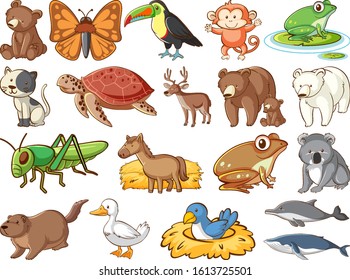 Large set of wildlife with many types of animals illustration