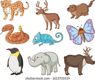 Large set of wildlife with many types of animals illustration