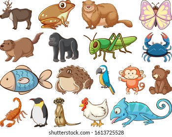 Large set of wildlife with many types of animals and insects illustration