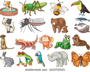 Large set of wildlife with many types of animals and insects illustration