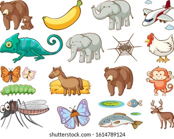 Large set of wildlife with many types of animals and insects illustration