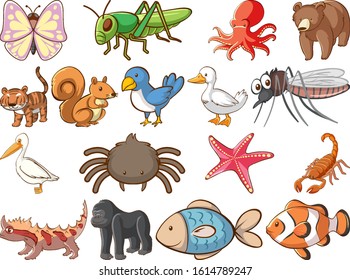 Large set of wildlife with many types of animals and insects illustration