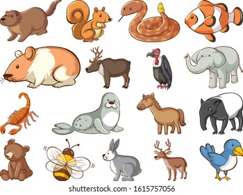 Large set of wildlife with many types of animals illustration