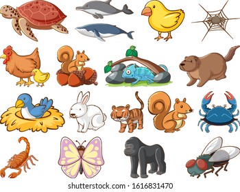 Large set of wildlife with many types of animals and insects illustration
