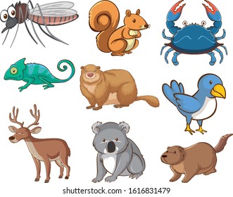 Large set of wildlife with many types of animals illustration