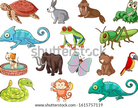 Similar – Image, Stock Photo Sea lizard on a rock by the sea