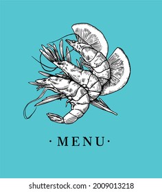 Large shrimp, drawn by graphic lines on a light background. Retro engraving for a menu of fish restaurants, for packaging in markets and in stores. Vector vintage illustration. menu print