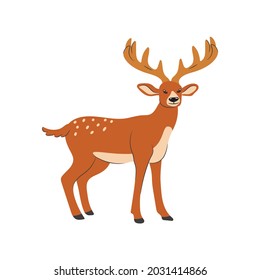 Large sika deer with antlers. Vector isolated.