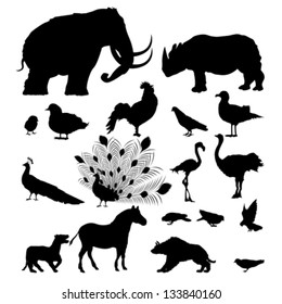 Large silhouette set of wild animals and birds over white background