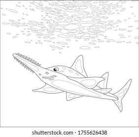 Large sinister marine largetooth sawfish swimming in depth of a tropical sea, black and white outline vector cartoon illustration for a coloring book page