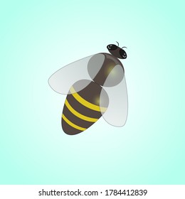 Large size bee insect illustration