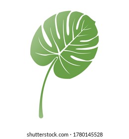 Large size Green leaf illustration