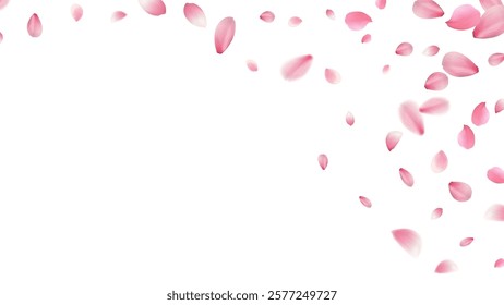large and small cherry blossom petals romantic background with realistic pink falling motion