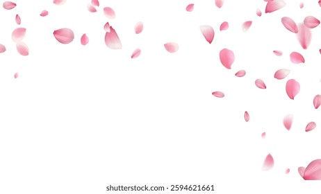 large and small cherry blossom petals romantic background with realistic pink falling motion