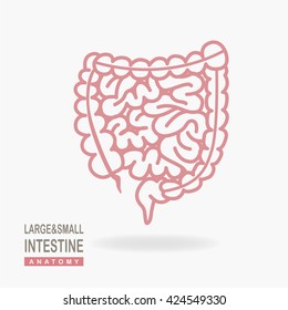 Large and Small Intestine icon isolated on white background. Colon icon. vector illustration.