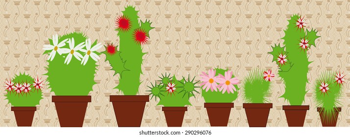 Large and small vetuschie cacti in pots in the room