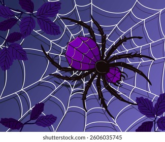 A large spider on a web.Color vector illustration with purple spider on white web.