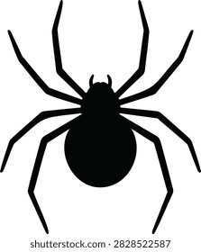 Large Spider Viewed from Above Black Silhouette with Long Legs, Isolated on White Background
