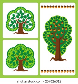 Large stylized oak trees with acorns in the vector