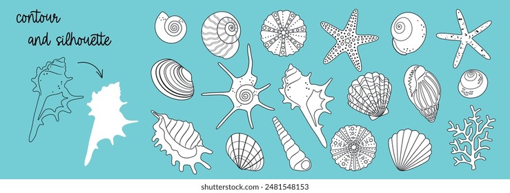 Large summer set of isolated sea flat cartoon underwater world elements, variety of bright seashells, starfish, sea urchins, corals for pattern, stickers, logo. Vector EPS10  