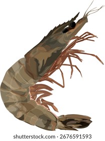 Grande Arte vectorial de gambas de tigre, ideal para menús de restaurantes, carteles y marcas de mariscos.