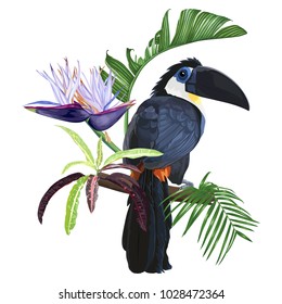 Large Toucan sitting on a branch, strelitzia flower and exotic leaves. Bright vector illustration.