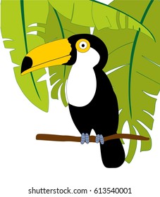 large toucan in tropical leaves. Vector image on a white background.