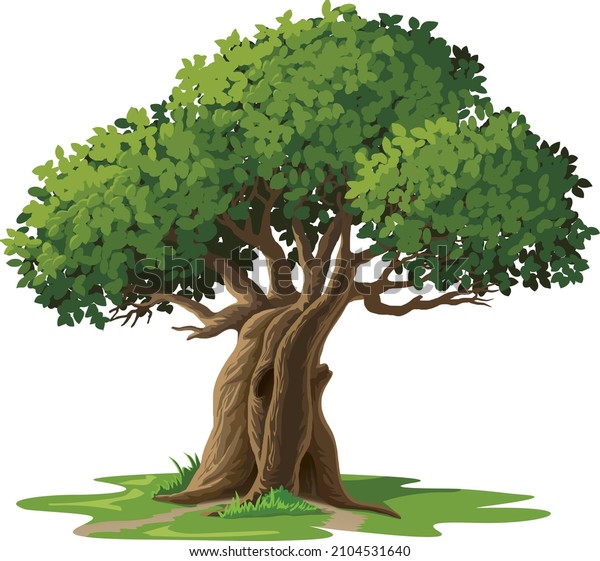 Grande Illustration Vectorielle dessinée à l'Arbre : image vectorielle ...