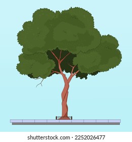 a large tree with a lush crown, green leaves, contour stroke, outdoor plant, grows behind an iron fence