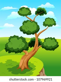 Large tree on green ground