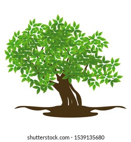 Large tree and shady green leaves with white background, vector illustration