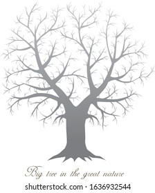 Large tree silhouette on white background
