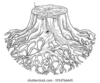 A large tree stump with intertwined roots. Linear drawing on an isolated white background.