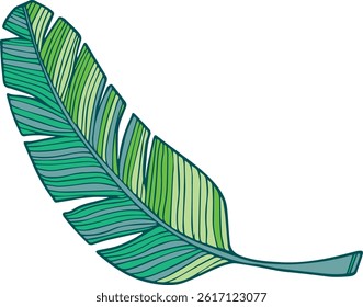 large tropical green leaf with stripes