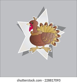 Large turkey on the grey star