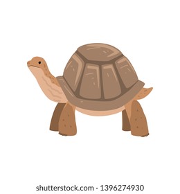 Large Turtle, Tortoise Reptile Animal Vector Illustration