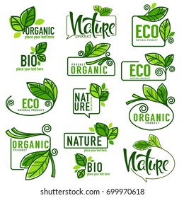 large vector collection of doodle eco, bio, nature and organic leaves and plants emblems, elements,  frames and logo