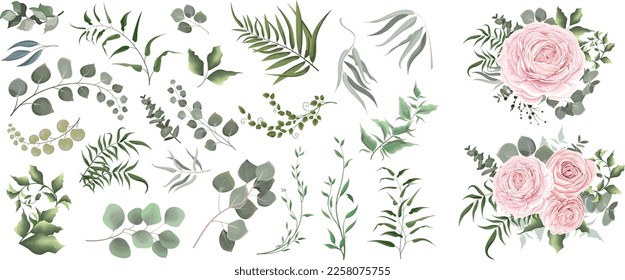 A large vector collection of flowers and plants. Juicy eucalyptus, green plants and leaves. Floral arrangements, pink roses, ranunculus, peony. All elements are isolated 