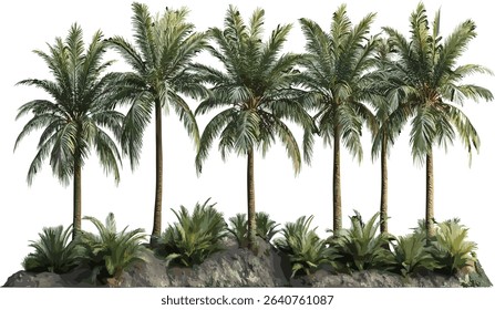 Large vector palm trees, tropical cutout background, summer nature design, island scenery, exotic foliage, beach landscape, palm leaf silhouettes, vibrant tropical scene