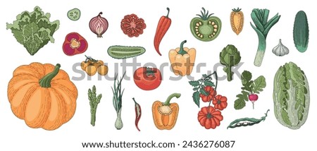 Similar – Image, Stock Photo Radishes Vegetable