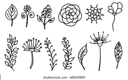 a large vector set of hand drawn natural silhouettes; an organic graphic element; herbs; flowers; grass elements; twigs; berries; leaves